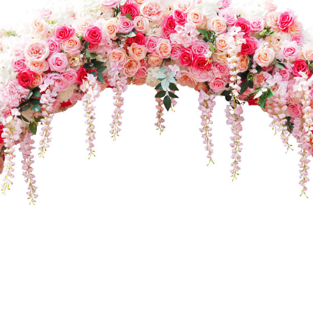 floral arbor for wedding decoration isolated on white Close up floral arbor for wedding decoration isolated on white background. Pink roses bouquet in arch composition for valentines day card. natural arch photos stock pictures, royalty-free photos & images