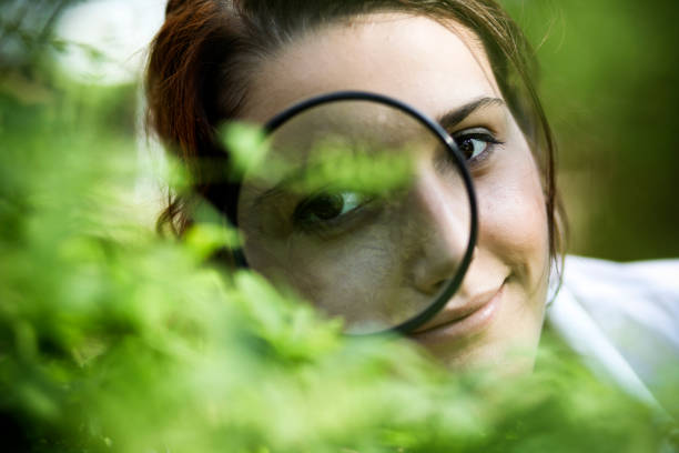 Beauty of Curiosity