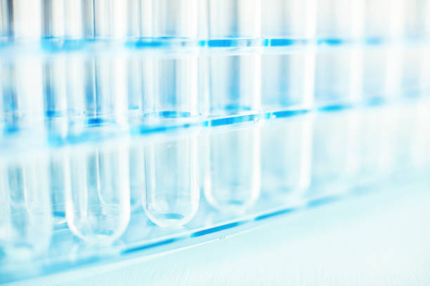 istock Sterile empty laboratory test tubes in test tube rack 1097203902