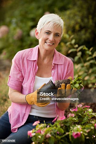 Senior Mujer Hacer Trasplantes Flores Foto de stock y más banco de imágenes de Jardín privado - Jardín privado, Cabello canoso, Plantar