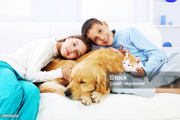 미소 보그다 안기 슬리핑 개 및 고양이 애완고양이에 대한 스톡 사진 및 기타 이미지 - 애완고양이, 개, 안기