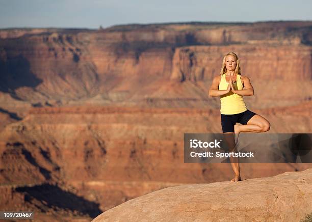 Donna Allaperto Nellalbero Posa Yoga Meditare - Fotografie stock e altre immagini di 25-29 anni - 25-29 anni, Adulto, Agilità