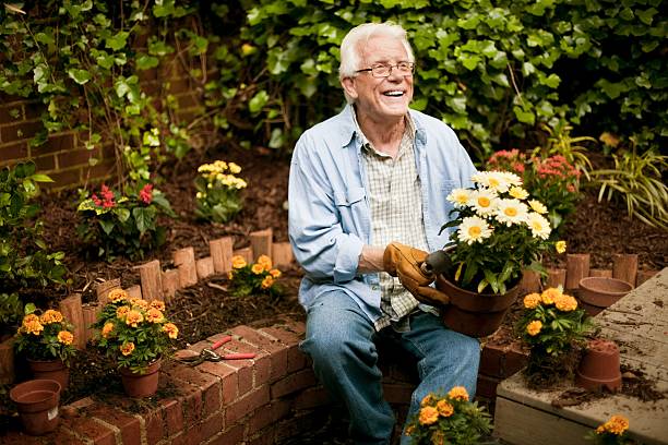 istock Senior Man with Flowers in Garden 109720604
