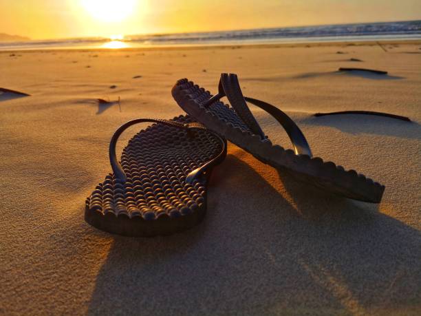istock Sandal on the beach during the sunset 1097218616