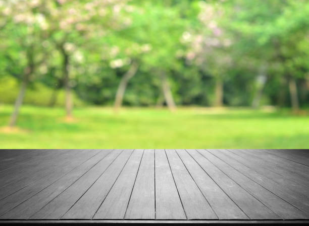 istock Empty Wooden Platform And Spring Green Blurred Abstract Background 1097221754