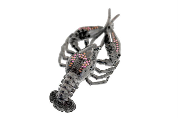 istock Silver crayfish. Jewelery with precious stones on a white background 1097223540