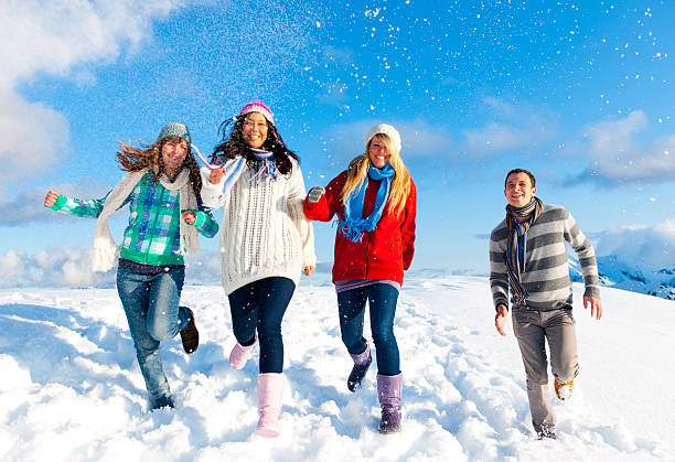 istock Group of Young People enjoying Winter 109722461