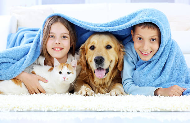 enfants, chien et chat regardant la couverture. - dog family indoors child photos et images de collection