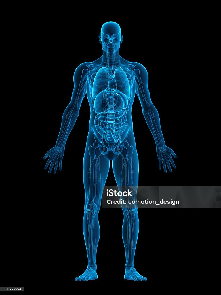 Cuerpo humano rayos X - Foto de stock de Anatomía libre de derechos