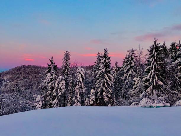 istock Winter morning landscape covered by snow 1097231654