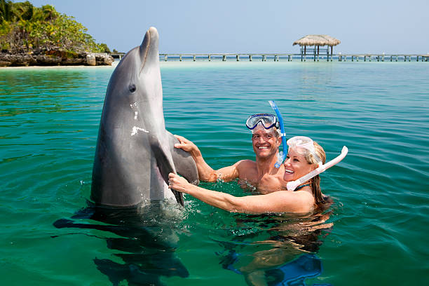 Happy couple playing with dolphin in tropical sea stock photo