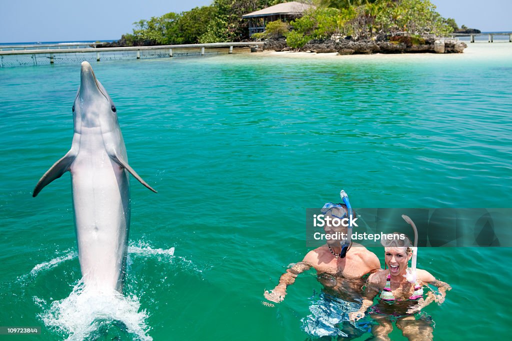 Adulto pareja disfrutando de encuentro con delfines nariz de botella - Foto de stock de Roatán libre de derechos