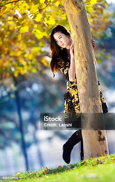 Junge Asiatische Frau Stockfoto und mehr Bilder von Abwarten - Abwarten, Attraktive Frau, Baum