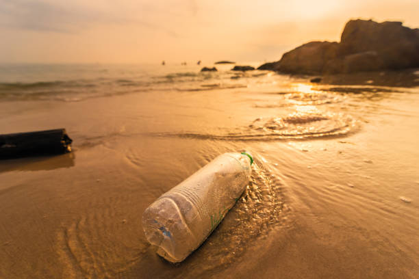 istock Empty plastic bottle on the beach with sea waves at morning sunrise.Thailand. 1097240064