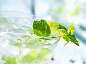 Mojito with White Rum Mint & Lime