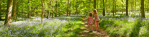 求めのお子様には、自然な夏の森林のパノラマに広がる自然の散歩道 - panoramic child scenics forest ストックフォトと画像