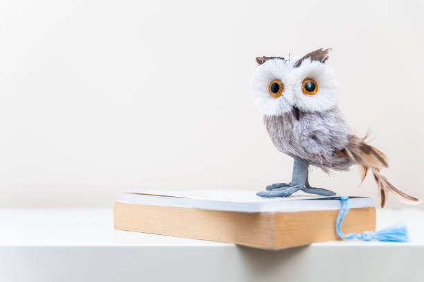 Owl on the Books