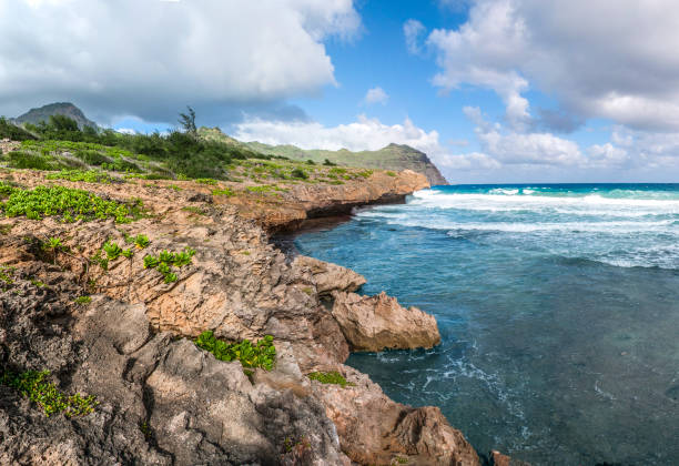 カウアイ島の火山の南海岸 - mahaulepu beach ストックフォトと画像