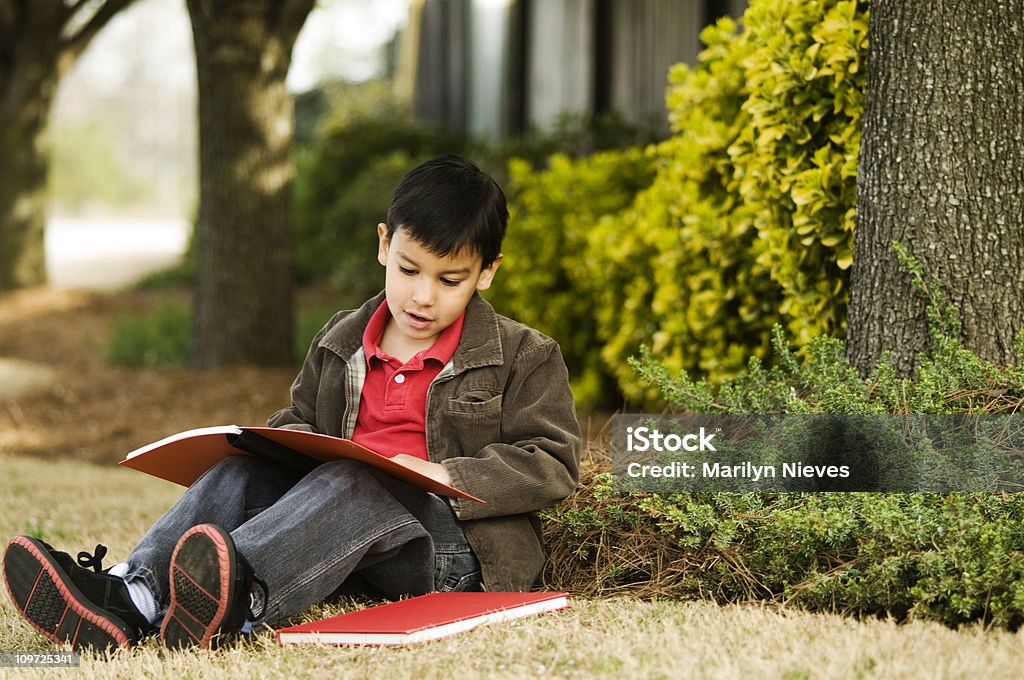 Lectura al aire libre - Foto de stock de 4-5 años libre de derechos