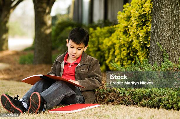 Lectura Al Aire Libre Foto de stock y más banco de imágenes de 4-5 años - 4-5 años, 6-7 años, Agarrar