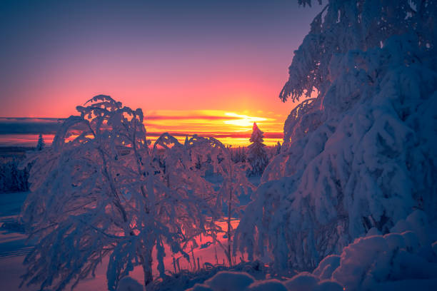istock Heavy snow sunset view from Sotkamo, Finland. 1097254318