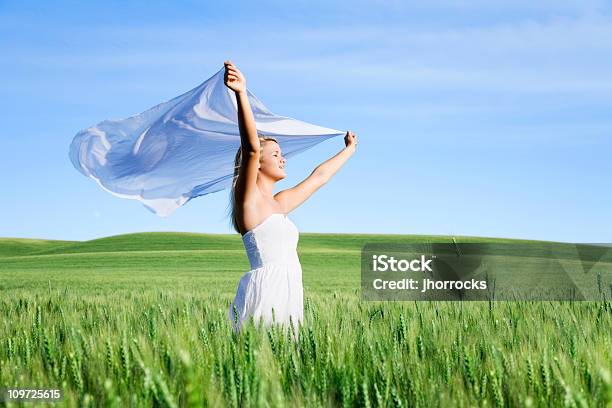 風力を持つ女性のファブリック - ドレスのストックフォトや画像を多数ご用意 - ドレス, 女性, 女性一人