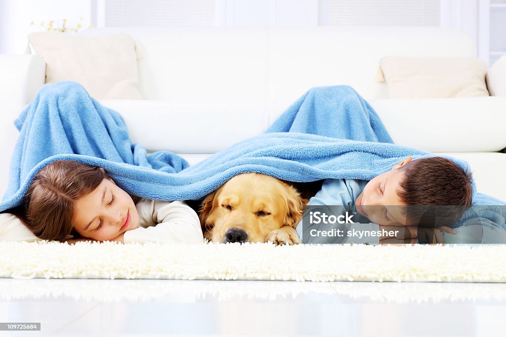 Niño y niña y perro durmiendo cubierto con un edredón de plumas. - Foto de stock de Manta - Ropa de cama libre de derechos