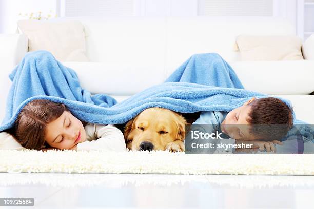 Niño Y Niña Y Perro Durmiendo Cubierto Con Un Edredón De Plumas Foto de stock y más banco de imágenes de Manta - Ropa de cama