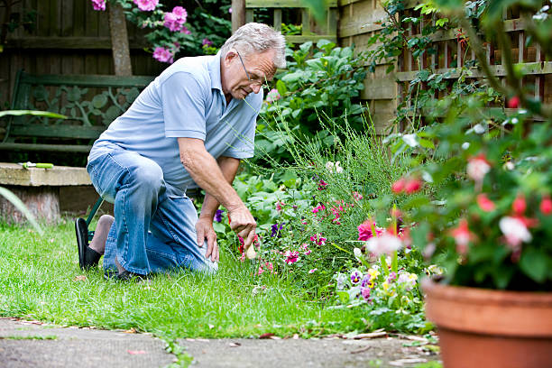 istock retirement: active senior tending to his garden 109725735