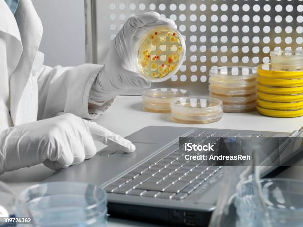 Foto de Laboratório De Trabalho No Computador e mais fotos de stock de Laboratório - Laboratório, Teclado de computador, Analisar