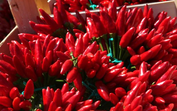 istock wooden box full of Mexican chilli peppers 1097264614