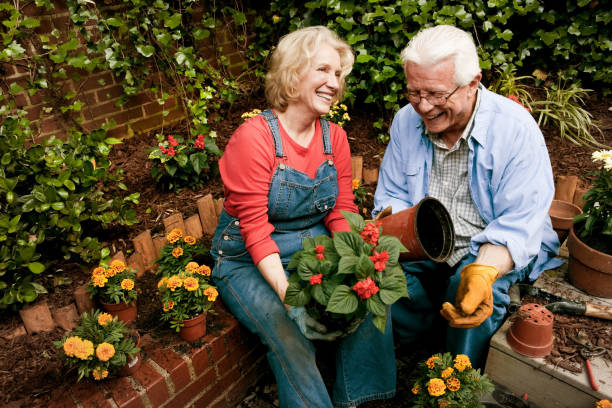istock Happy Senion Garden Couple 109726573