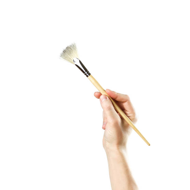 istock Hand holds the brush. Brush in hand. Close up. Isolated on white background 1097272044