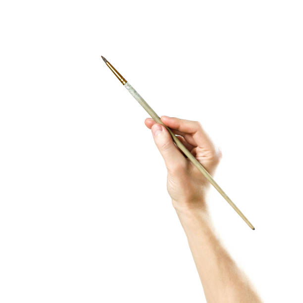 istock Hand holds the brush. Brush in hand. Close up. Isolated on white background 1097272046