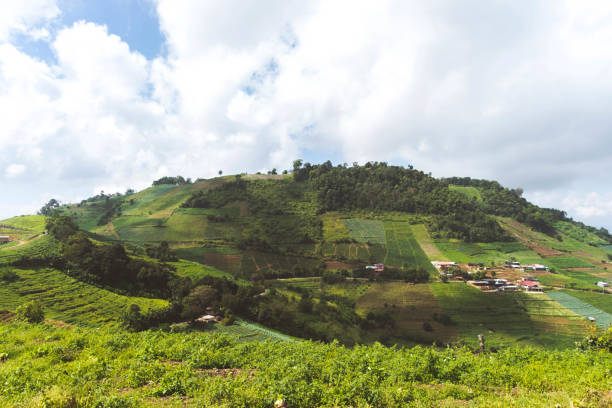 istock Scenic View Of Landscape Against Sky 1097276240