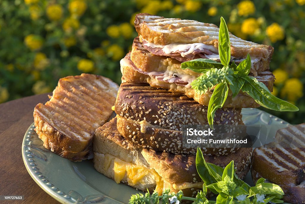 Alimentação saudável, queijo grelhado & Panini de carne de bovino, pão fresco Sanduíche de piquenique - Foto de stock de Salame royalty-free