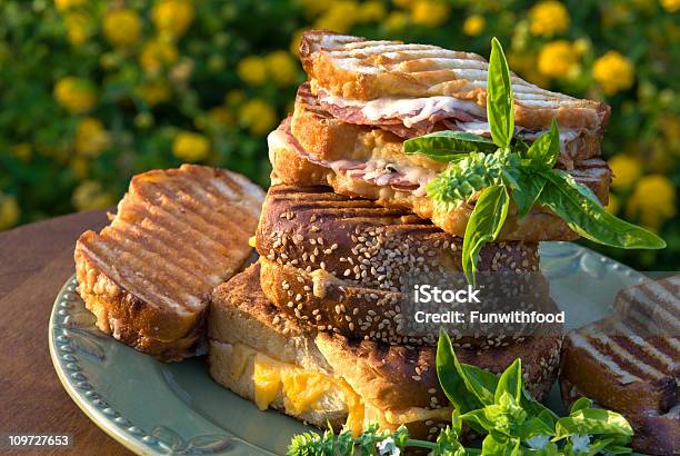 Foto de Alimentação Saudável Queijo Grelhado Panini De Carne De Bovino Pão Fresco Sanduíche De Piquenique e mais fotos de stock de Salame