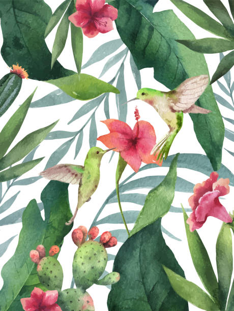 akwarela wektorowa karta tropikalne liście,kaktusy, kolibry i kwiaty izolowane na białym tle. - egzotyczny ptak obrazy stock illustrations