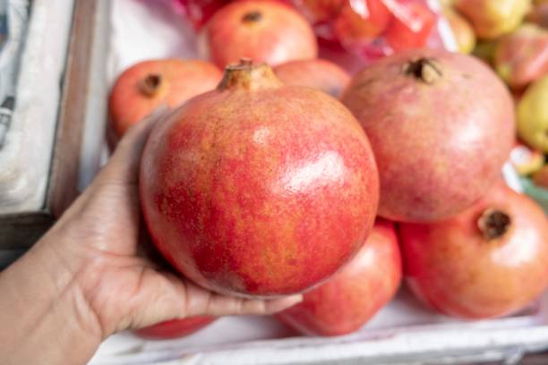 istock The pomegranate, or Punica granatum, is a shrub that produces a red fruit 1097280352