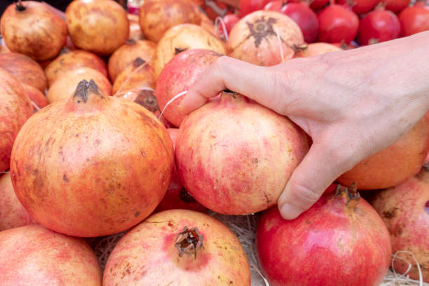 istock The pomegranate, or Punica granatum, is a shrub that produces a red fruit 1097280356