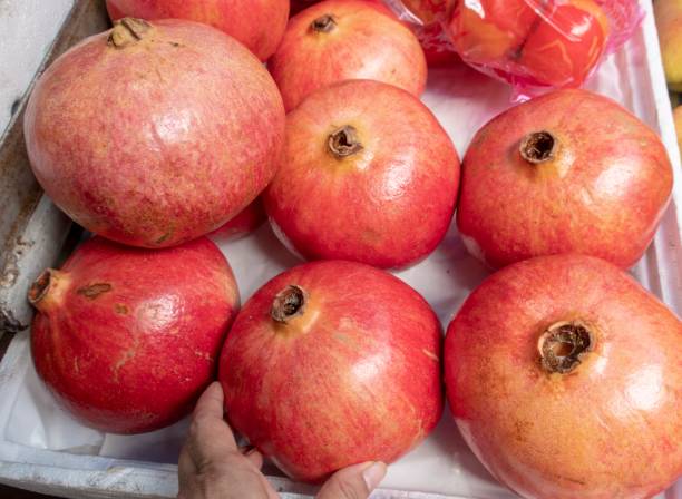 istock The pomegranate, or Punica granatum, is a shrub that produces a red fruit 1097280366