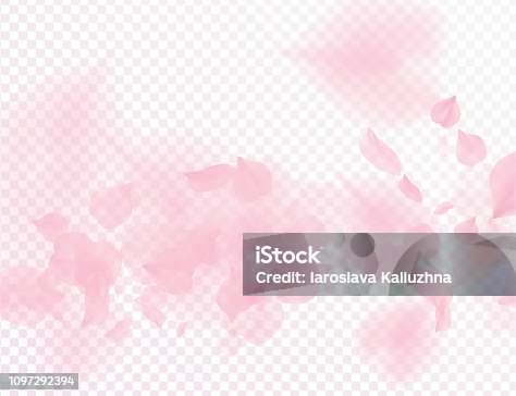 istock Pink sakura flower falling petals vector transparent background. 3D romantic valentines day illustration. Spring tender light backdrop. Overlay tenderness romance design. 1097292394