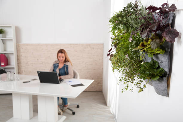 istock Woman working in a green office 1097298764