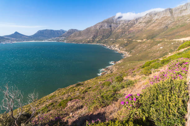 istock View on high coast of chapmans peak drive, Cape Town 1097299948