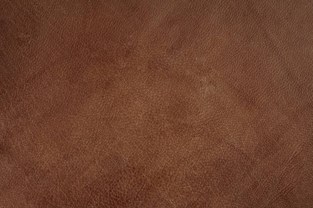 진짜 가죽 질감 배경 - textured textured effect hide leather 뉴스 사진 이미지