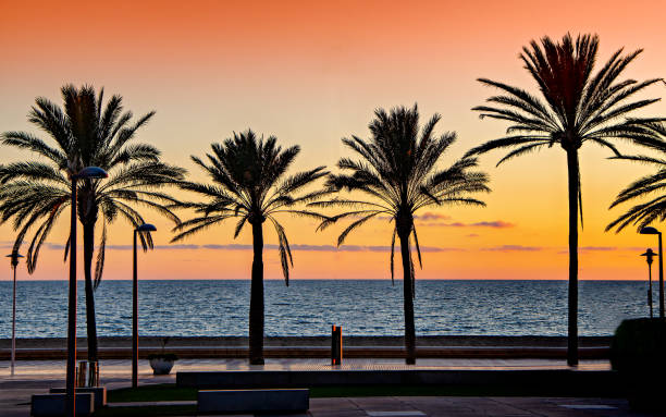 Mediterranean beach sunset in Almeria, Spain. Mediterranean beach sunset in the beach of El Zapillo in Almeria, Andalusia, southern Spain. almeria stock pictures, royalty-free photos & images