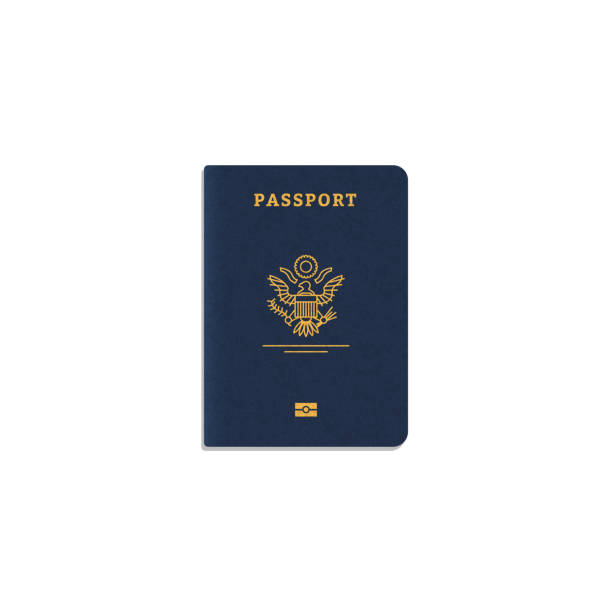 International passport cover Front view of blue passport cover. Golden lines and text, bird logo and leather texture. Real passport vector illustration. International id document. Immigration on citizenship banner. blue us passport cover stock illustrations