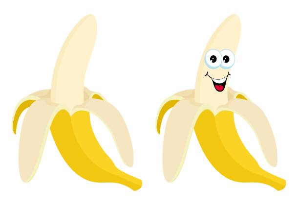 ilustrações, clipart, desenhos animados e ícones de banana meio descascada. ilustração vetorial aberta de banana em um fundo branco. ilustração de personagem de desenho animado. - banana peeled banana peel white background