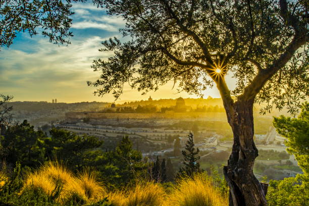 jerusalén al atardecer - the new city fotografías e imágenes de stock