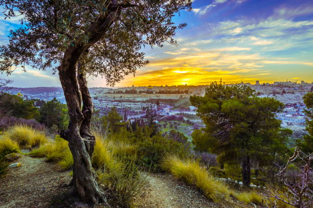 jerusalén al atardecer - mount of olives fotografías e imágenes de stock